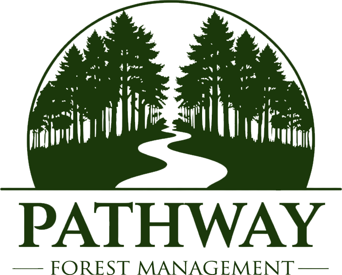 Contact Pathway Forest Management