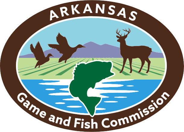 AR Game & Fish